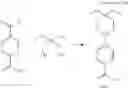 Fig. 60 - POLYNUCLEOTIDE CONSTRUCTS HAVING BIOREVERSIBLE AND NON-BIOREVERSIBLE GROUPS