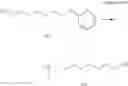 Fig. 71 - POLYNUCLEOTIDE CONSTRUCTS HAVING BIOREVERSIBLE AND NON-BIOREVERSIBLE GROUPS