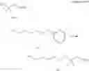 Fig. 76 - POLYNUCLEOTIDE CONSTRUCTS HAVING BIOREVERSIBLE AND NON-BIOREVERSIBLE GROUPS