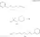 Fig. 81 - POLYNUCLEOTIDE CONSTRUCTS HAVING BIOREVERSIBLE AND NON-BIOREVERSIBLE GROUPS