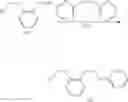 Fig. 86 - POLYNUCLEOTIDE CONSTRUCTS HAVING BIOREVERSIBLE AND NON-BIOREVERSIBLE GROUPS