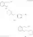 Fig. 95 - POLYNUCLEOTIDE CONSTRUCTS HAVING BIOREVERSIBLE AND NON-BIOREVERSIBLE GROUPS