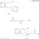 Fig. 96 - POLYNUCLEOTIDE CONSTRUCTS HAVING BIOREVERSIBLE AND NON-BIOREVERSIBLE GROUPS
