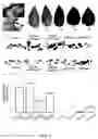 Fig. 04 - METHODS FOR INCREASING THE ANTHOCYANIN CONTENT OF CITRUS FRUIT