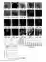 Fig. 09 - Methods for making and using modified oocytes
