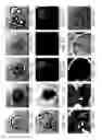 Fig. 12 - Methods for making and using modified oocytes