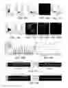 Fig. 15 - Methods for making and using modified oocytes