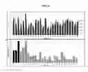 Fig. 07 - Nucleic acid enzyme substrates