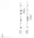 Fig. 06 - Methods of identifying homologous genes using FISH