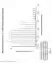 Fig. 12 - T-enhanced blocking oligonucleotides and baits for improved target enrichment and reduced off-target selection
