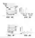 Fig. 08 - Method for treating kidney disease with a SLIT2-binding extracellular domain of ROBO2