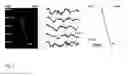 Fig. 04 - Method for selection of agents influencing intestinal motility disorders and pain