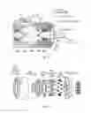 Fig. 06 - APPARATUS WITH PRESSURE COMPENSATING MEANS