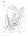 Fig. 04 - Engine and motorcycle
