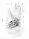 Fig. 02 - Saddle ridden vehicle