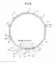 Fig. 06 - Variable vane device maintenance method and variable vane device
