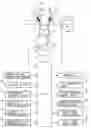 Fig. 01 - Control apparatus for internal combustion engine