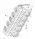 Fig. 11 - Pump Fluid End with Integrated Web Portion