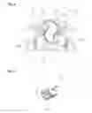 Fig. 06 - Brake shoe