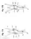 Fig. 17 - Tangle-resistant decorative lighting assembly