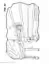 Fig. 31 - Method and apparatus for the controlled conveyance of a workpiece through a fluidized bed dryer
