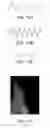 Fig. 09 - Heat-dissipating copper foil and graphene composite