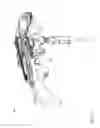 Fig. 05 - Crossbow