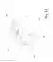 Fig. 13 - Crossbow