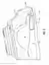 Fig. 04 - Hybrid holster