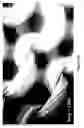 Fig. 04 - Integrated protective garment ensemble