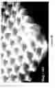 Fig. 05 - Integrated protective garment ensemble