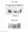 Fig. 16 - Water content of a part of plant evaluation method and water content of a part of plant evaluation apparatus
