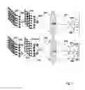 Fig. 04 - Optical microscopy with phototransformable optical labels