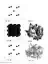 Fig. 33 - Optical microscopy with phototransformable optical labels
