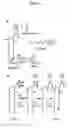 Fig. 02 - AFFINITY PROBES FOR DEFINING PROTEIN-LIPID CONTACTS