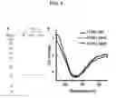 Fig. 10 - AFFINITY PROBES FOR DEFINING PROTEIN-LIPID CONTACTS