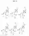 Fig. 14 - AFFINITY PROBES FOR DEFINING PROTEIN-LIPID CONTACTS