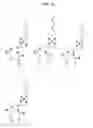 Fig. 15 - AFFINITY PROBES FOR DEFINING PROTEIN-LIPID CONTACTS