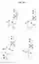 Fig. 17 - AFFINITY PROBES FOR DEFINING PROTEIN-LIPID CONTACTS