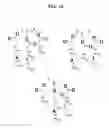 Fig. 19 - AFFINITY PROBES FOR DEFINING PROTEIN-LIPID CONTACTS