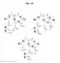 Fig. 20 - AFFINITY PROBES FOR DEFINING PROTEIN-LIPID CONTACTS