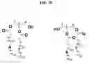 Fig. 22 - AFFINITY PROBES FOR DEFINING PROTEIN-LIPID CONTACTS