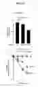 Fig. 26 - AFFINITY PROBES FOR DEFINING PROTEIN-LIPID CONTACTS