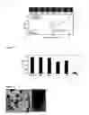 Fig. 07 - Optimization method of a polynucleotide sequence
