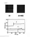 Fig. 26 - Artificial cell membrane comprising supported lipid bilayer connected with probes having controllable mobility and method for analyzing interaction between molecules using the same
