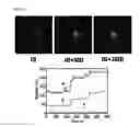 Fig. 33 - Artificial cell membrane comprising supported lipid bilayer connected with probes having controllable mobility and method for analyzing interaction between molecules using the same