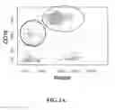 Fig. 02 - Image analysis and measurement of biological samples