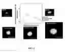 Fig. 07 - Image analysis and measurement of biological samples