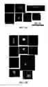 Fig. 09 - Image analysis and measurement of biological samples