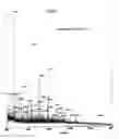 Fig. 05 - Method for the detection of cancer cells by localization of peptides in nucleus as compared to cytoplasm